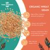 Sussex Wholefoods Organic Wheat Grain 25kg: Premium Quality, Versatile Whole Grain view 2