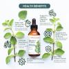 30ml Oregano Oil 100% Pure & Undiluted Min 92% Carvacrol Super-Strength Himalayan Essential Oil of Oregano (Origanum Vulgare) Highly Potent Immunity Booster for Cold, Cough, Sore Throat & Gut Health view 4