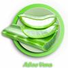 Freedom Inspirations Quilted 3 Ply Scented Toilet Paper 45 Rolls (Aloe Vera) view 4