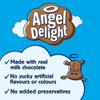 Angel Delight Smooth & Creamy Chocolate Flavour Instant Dessert Mix, 600 g (Pack of 1) view 3
