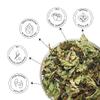 CelesTe Marrakesh Mojito, Moroccan Mint Tea Loose Leaf - Premium Blend with Mint and Lemon | 100% Natural Loose Leaf Green Tea (50 gm) (25 Cups) view 4