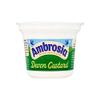 Ambrosia - Custard Original Pot 150G x 12 view 1