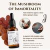 Ecodrop Organic Reishi Mushroom I 30ml I Double Extract Liquid Tincture Lions Mane Supplement I EU & Soil Association Certified I Manufactured in Finland view 4
