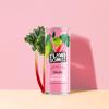 Flawsome! Lightly Sparkling Apple & Rhubarb Juice  No Added Sugar, 100% Cold-Pressed Wonky Fruit, Guilt-Free Fizzy Drink  Perfect for Refreshment or as a Mixer (24 x 250ml) view 3