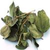 Sidre Leaves: Natural Sidr Jujube Leaf Sold in a resealable pot to protect cut leaves (Rokia Chariaa) view 1