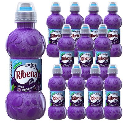 12 x 250ml Blackcurrant Juice Drink Natural NO Sugar Vitamin C