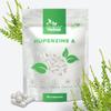 Huperzine A 225mcg, 90 Capsules  Memory & Cognitive Support  Pure Ingredients, GMO & Gluten Free  GMP Certified Nootropic Supplement by Raw Powders view 1