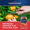San Pellegrino Italian Sparkling Drinks Tastefully Light Sparkling Blood Orange Canned Soft Drink 12 x 330ml | 69 kCals per Can view 3