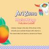 AriZona Mucho Mango, Fruit Juice Cocktail - Big Can, 22 Fl Oz (Pack of 12) view 4