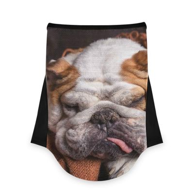 AJINGA Face Coverings Bandana Ear Loops StylishDog Women Neck Gaiters for Dust Wind Motorcycle Men