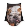 AJINGA Face Coverings Bandana Ear Loops StylishDog Women Neck Gaiters for Dust Wind Motorcycle Men view 1