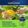 San Pellegrino Italian Sparkling Drinks Tastefully Light Sparkling Lemon & Mint Canned Soft Drink 12 x 330ml, 74 kCals per Can view 3