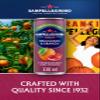 San Pellegrino Italian Sparkling Drinks Tastefully Light Sparkling Pomegranate & Orange Canned Soft Drink 12 x 330ml | 68 kCals per Can view 4