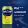 San Pellegrino Italian Sparkling Drinks Tastefully Light Sparkling Grapefruit Canned Soft Drink 12 x 330ml | 70 kCals per Can view 2
