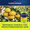 San Pellegrino Italian Sparkling Drinks Tastefully Light Sparkling Grapefruit Canned Soft Drink 12 x 330ml | 70 kCals per Can view 3