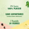 Teisseire Pack of 6 Zero Mint Syrups view 2
