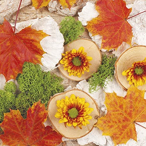 20 Napkins Autumn Leaves on Tree Slices Maple Autumn Table Decoration 33 x 33 cm