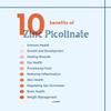 ECO-VITS Zinc Picolinate 50mg 240 Capsules, Immune System Health, Skin, Hair & Nails, Cognitive Function, Wound Healing & Tissue Repair view 3