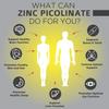 ECO-VITS Zinc Picolinate 50mg 240 Capsules, Immune System Health, Skin, Hair & Nails, Cognitive Function, Wound Healing & Tissue Repair view 4