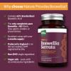 Boswellia Serrata Capsules/Tablets (2000mg 5:1 Extract) Made in UK by Nature Provides - 180 Vegan Caps, 6 Months Supply, 65% Boswellic Acid, Indian Frankincense, Joint Support, Anti-Inflammatory view 2