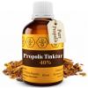 50ml NORDBIENCHEN Propolis Tincture - with 40% Propolis - Direct from The Beekeeper view 1
