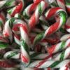 100 PCS MINI Peppermint Christmas Candy Canes 500g view 1
