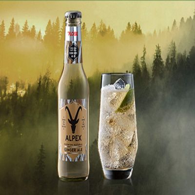 Premium Natural Ginger Ale 200 ml x 6 - Plose