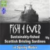 Fish 4 Ever Brisling Sardines in Spring Water (105g) view 1