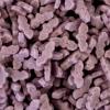 Bakeart Purple Bat Sprinkle Bag Edible Cake Cupcake Fairy Cake Pop Muffin Doughnut Donut Decoration Cake Topper 30g view 1