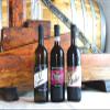 smartbox - Gift Box Glasses and Flavors - Gourmet Gift Idea - 1 Wine and Typical Products Tasting for 2 People view 4