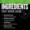 ANIMAL Greens PAK  Your Green Helpers & Daily dose of Green superfood  with spirulina, chlorella & maca for Energy, Immune System, Digestion & Well-Being  30 Packs view 4