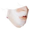 Delfina Stay Safe Reusable Face Mask Protection Washable Mouth & Nose Shield Breathable Anti Smoke Pollution Bike Motorcycle Sport (Stylised Santa) view 1