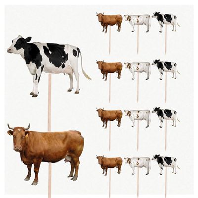 AK Giftshop Cow Farm Animal Birthday Party Food Cupcakes Picks Decorations Toppers (Pack of 14)