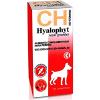 HYALOPHYT Large Breeds 100 Tablets view 1