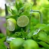 Alpi Nature Peppermint Tea 125g 4.4 oz, Dried and Cut Peppermint Leaves, Loose Leaf Tea view 4