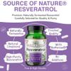 Trans-Resveratrol 500mg | 90 Vegan Capsules | High Strength | 98% Purity | Naturally Fermented | with Piperine | Lab Tested | Premium Quality view 2
