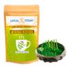 Lotus Today Moringa, Pure Moringa Tea - Energy, Immune Boost Herbal Tea, Rich in Vitamins and Minerals (21Tea Bags Pack) view 4