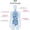Foods For Gut Lactobacillus Acidophilus Probiotic Powder 200 Billion cfu's | Made in USA | No Additives | Digestive & Immune Support | High Potency | L. Acidophilus | 30 Grams (1.05 Oz) view 4