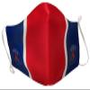 Paris Saint-Germain 2 x Children's Reusable Washable Splashback Mask view 2
