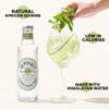 SEPOY & CO. Elderflower Tonic Water - 12 x 200ml | Low Calorie, Less Sugar | Pure Himalayan Water & 100% Natural Ingredients | Elderflower sourced from UK view 3