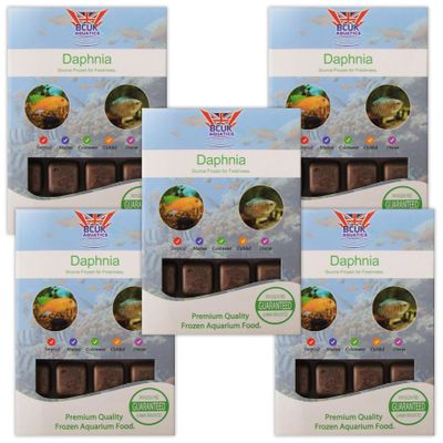 BCUK Frozen Daphnia Fish Food x5 Packs