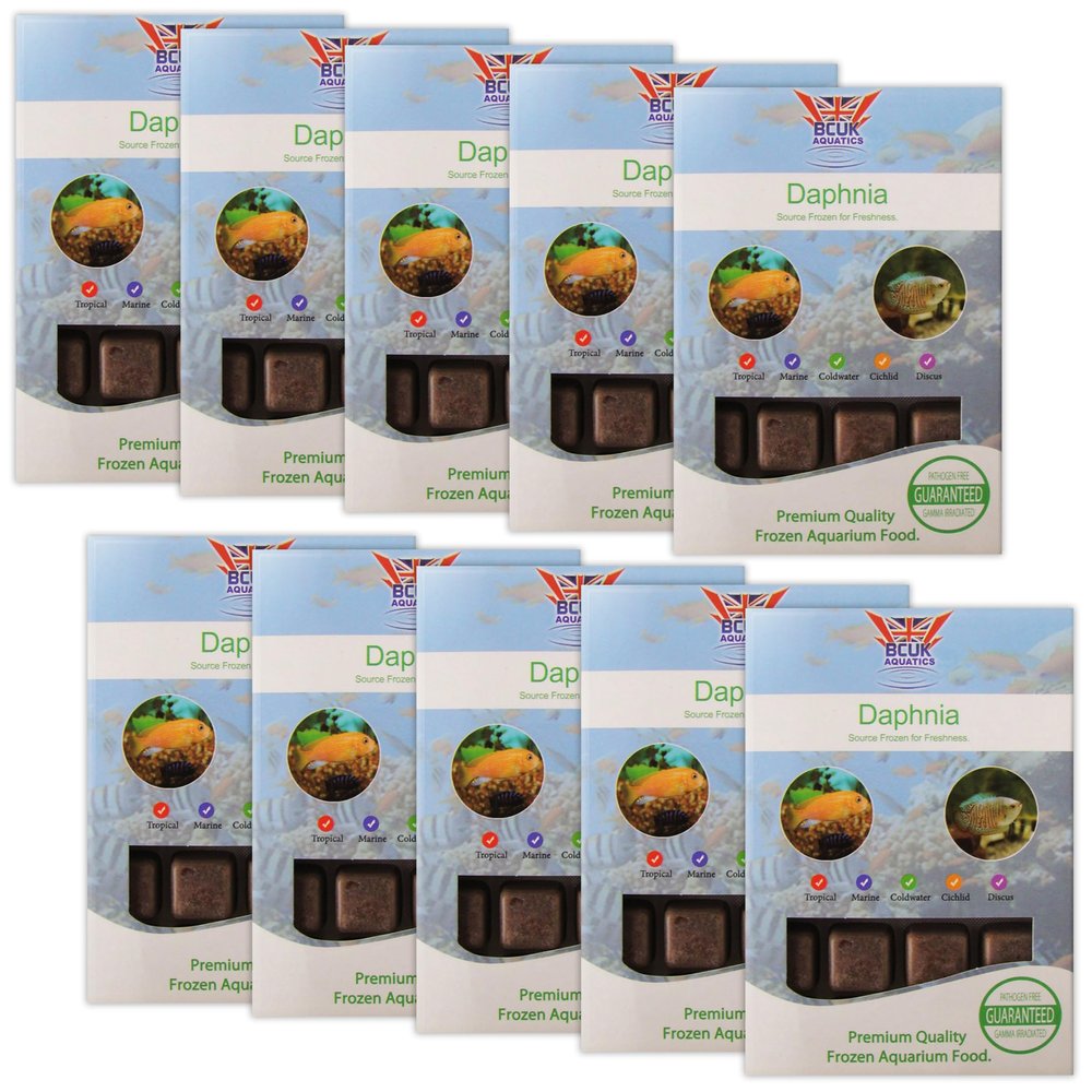 BCUK Frozen Daphnia Fish Food x10 Packs