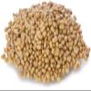Old India Moth Beans 2kg view 3