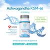 Ashwagandha KSM-66 : 12,500mg Daily Super High Strength Ashwagandha - 5% Withanolides - Equivalent 1000mg Extract - No Artificial Fillers or Binders - Organic Withania Somnifera Root - UK Made view 3