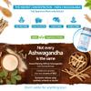 Ashwagandha KSM-66 : 12,500mg Daily Super High Strength Ashwagandha - 5% Withanolides - Equivalent 1000mg Extract - No Artificial Fillers or Binders - Organic Withania Somnifera Root - UK Made view 4