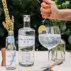 Luscombe Drinks Devon Tonic Water - Rare Japanese Yuzu Paired with Devon Spring Water and Indian Quinine, Classic Taste, 20cl (Pack of 24) view 3