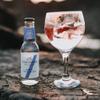 Luscombe Drinks Devon Tonic Water - Rare Japanese Yuzu Paired with Devon Spring Water and Indian Quinine, Classic Taste, 20cl (Pack of 24) view 4