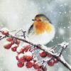 20 Napkins Winter Scene with Bird | Snow | Natural 33 x 33 cm view 1
