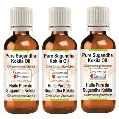 Greenwood Essential Pure Sugandha Kokila Essential Oil (Cinnamomum glaucescens) Steam Distilled 100ml x 3 (10 oz)