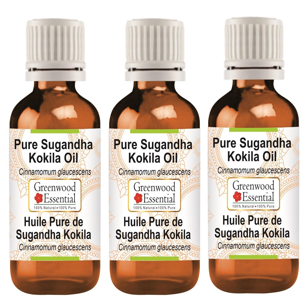 Greenwood Essential Pure Sugandha Kokila Essential Oil (Cinnamomum glaucescens) Steam Distilled 100ml x 3 (10 oz)
